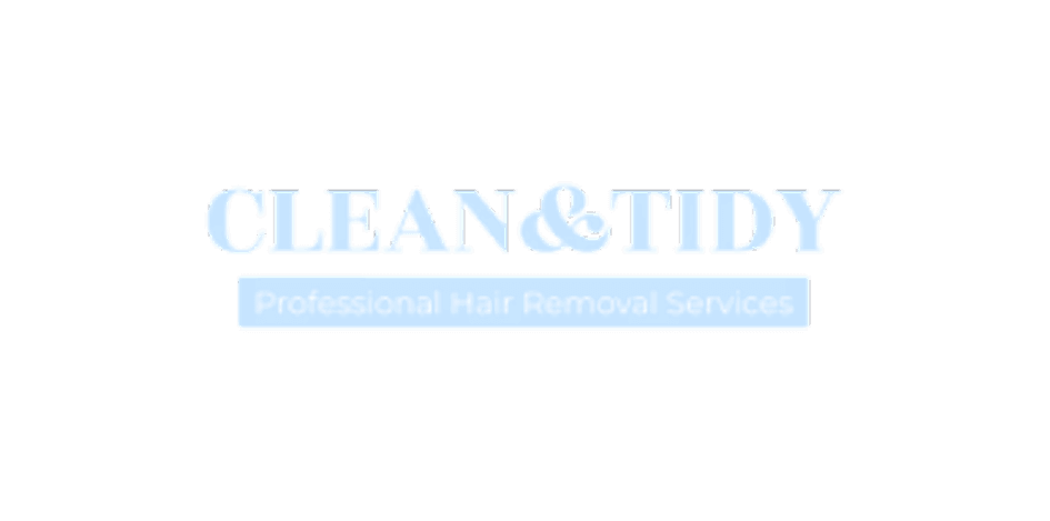 Logo Clean and Tidy