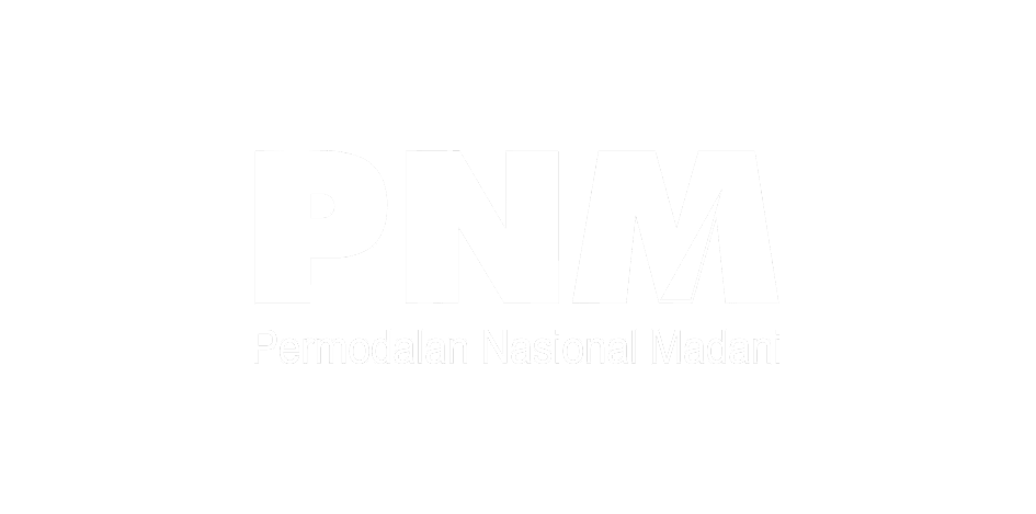Logo PNM