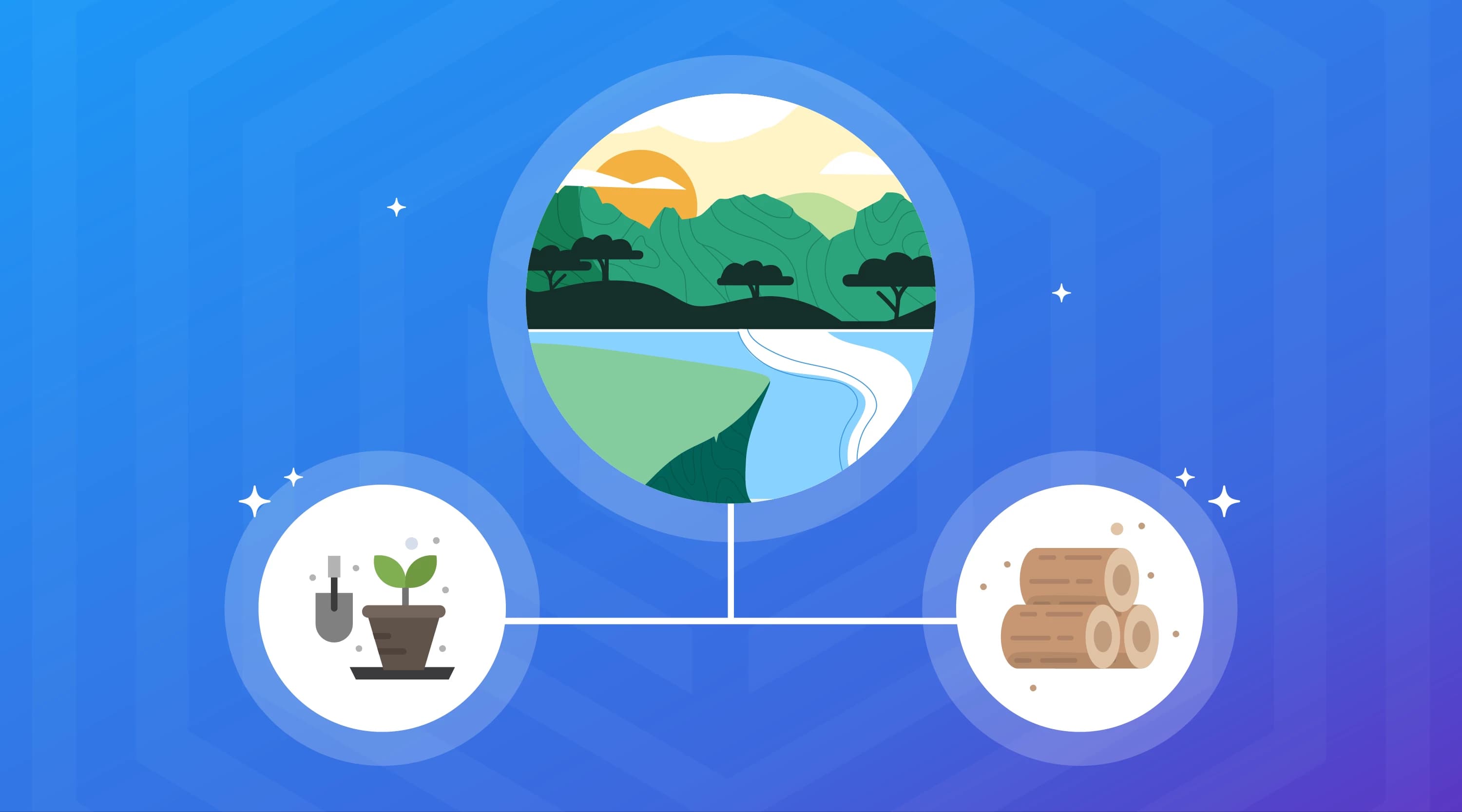 SEO for Forest Products
