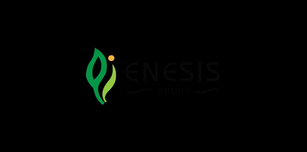 Enesis Group logo