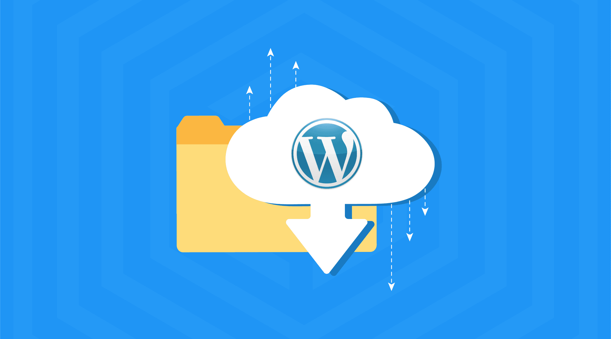 Panduan Cara Backup WordPress untuk Pemula (Tools & Plugin) Image Cover