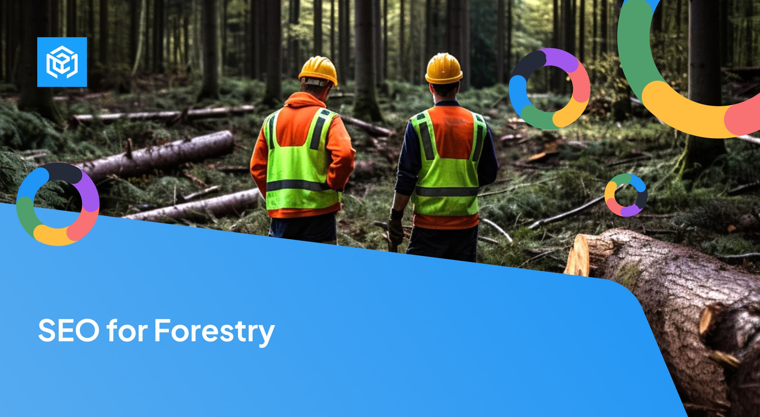 SEO for Forestry